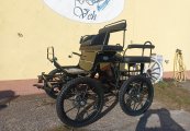 Trox_Pony_L-149_02