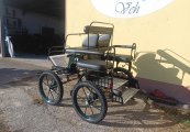 Trox_Pony_L-149_01