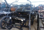 L153_Trox_Pony_2_01